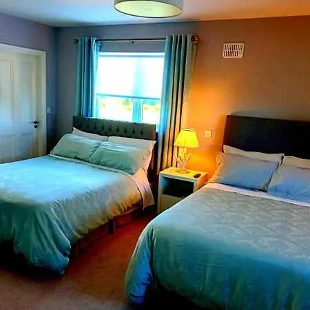 White Quarry Hse Quarry Road Guest House Navan Exterior photo